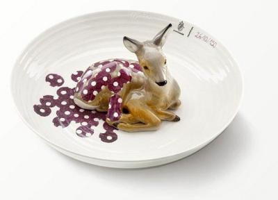 حیوانات سه بعدی روی کاسه های چینی! ، تصاویر