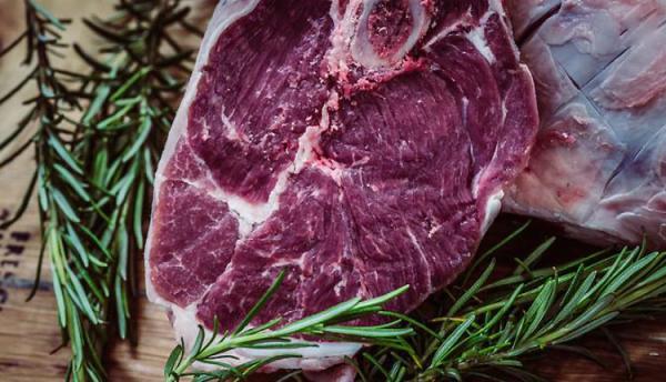 طبع گوشت شتر، مصلحات و خواص بی نظیر آن از نظر طب سنتی