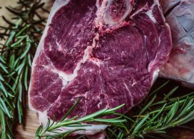طبع گوشت شتر، مصلحات و خواص بی نظیر آن از نظر طب سنتی