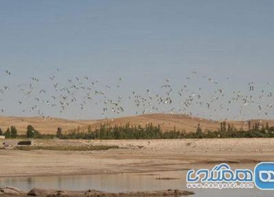 سد دوش از جاهای دیدنی آذربایجان شرقی به شمار می رود
