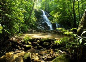 راهنمای سفر به مالزی